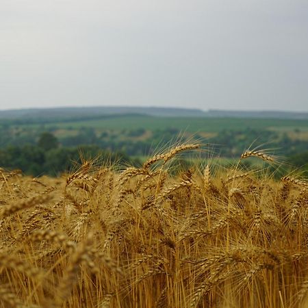 Ferienhaus Plattensee/Balaton Szolad Eksteriør billede